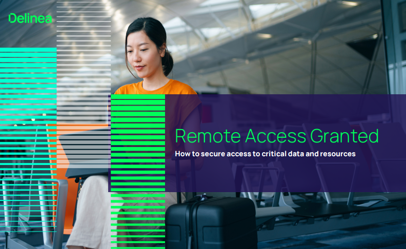 Remote Access Granted: How to secure access to critical data and resources