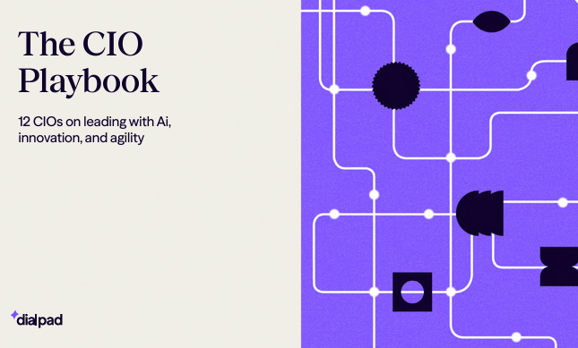 The CIO Playbook: Lessons from 12 CIOs