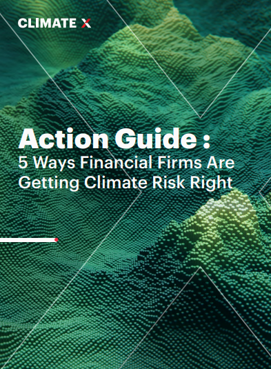 Action Guide : 5 Ways Financial Firms Are Getting Climate Risk Right