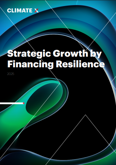 Strategic Growth by Financing Resilience